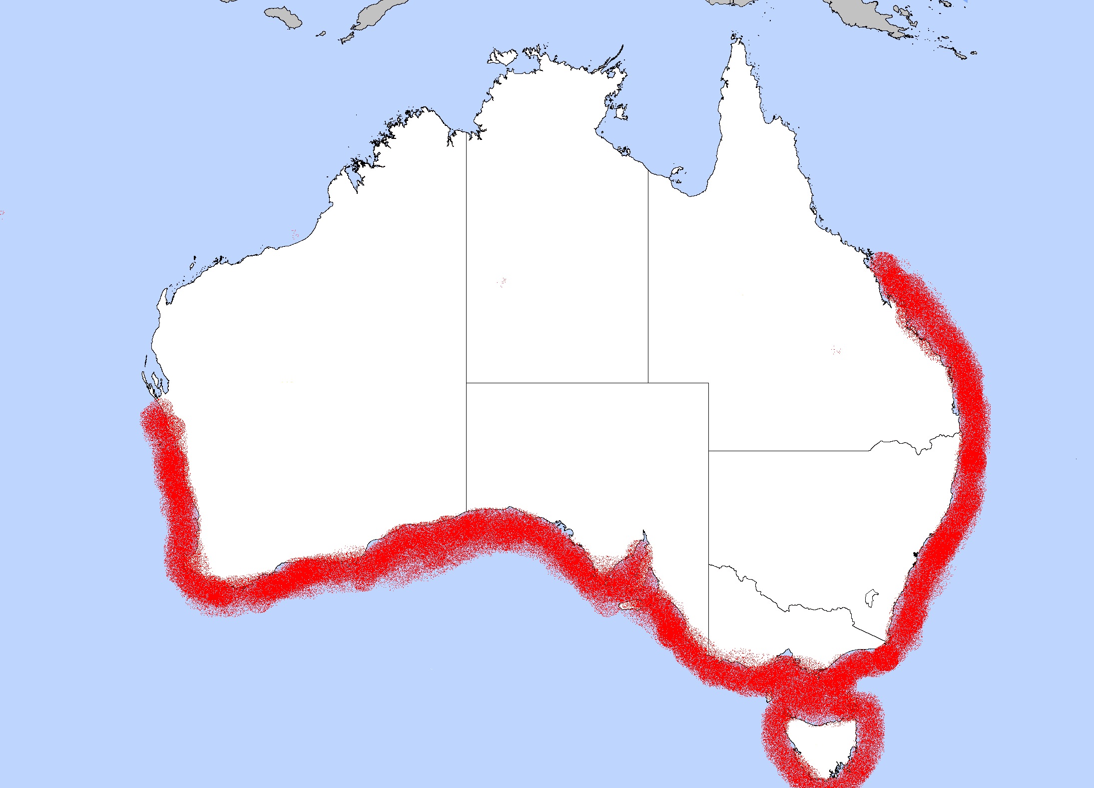 Distribution of Scutus antipodes